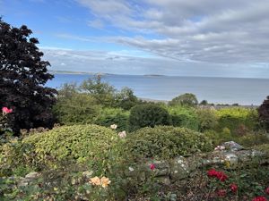 Photo 77- click for photo gallery